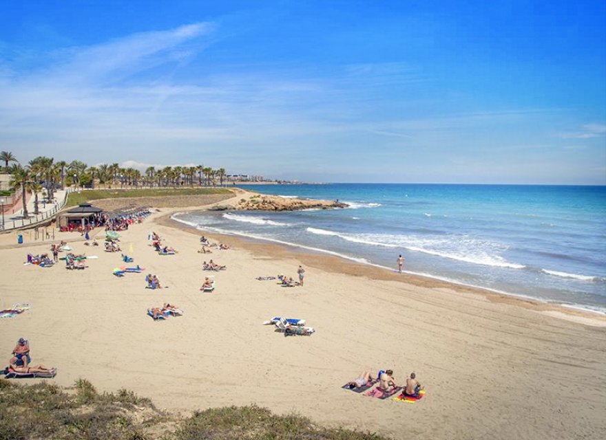 Nowa konstrukcja - Apartament - Torrevieja