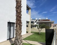 Nowa konstrukcja - Apartament - Torrevieja