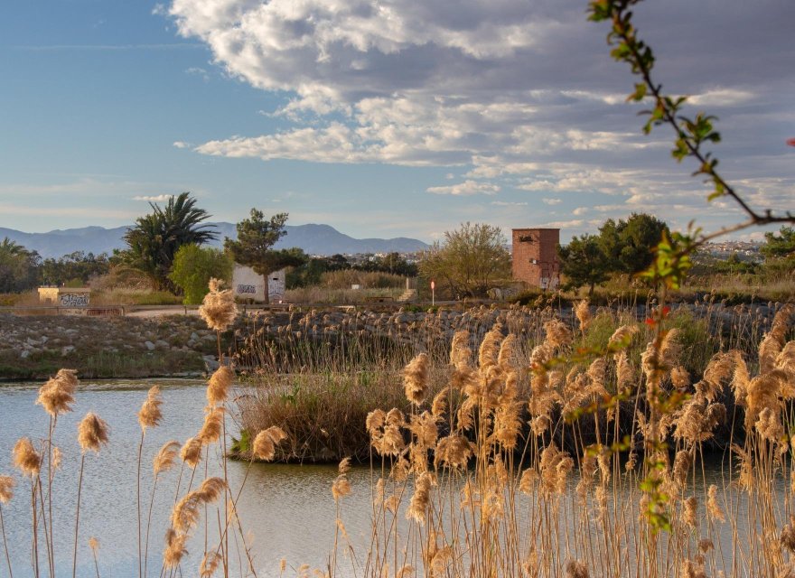 Nowa konstrukcja - Bungalow - Guardamar del Segura - Guardamar Del Segura