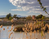 Nowa konstrukcja - Bungalow - Guardamar del Segura - Guardamar Del Segura