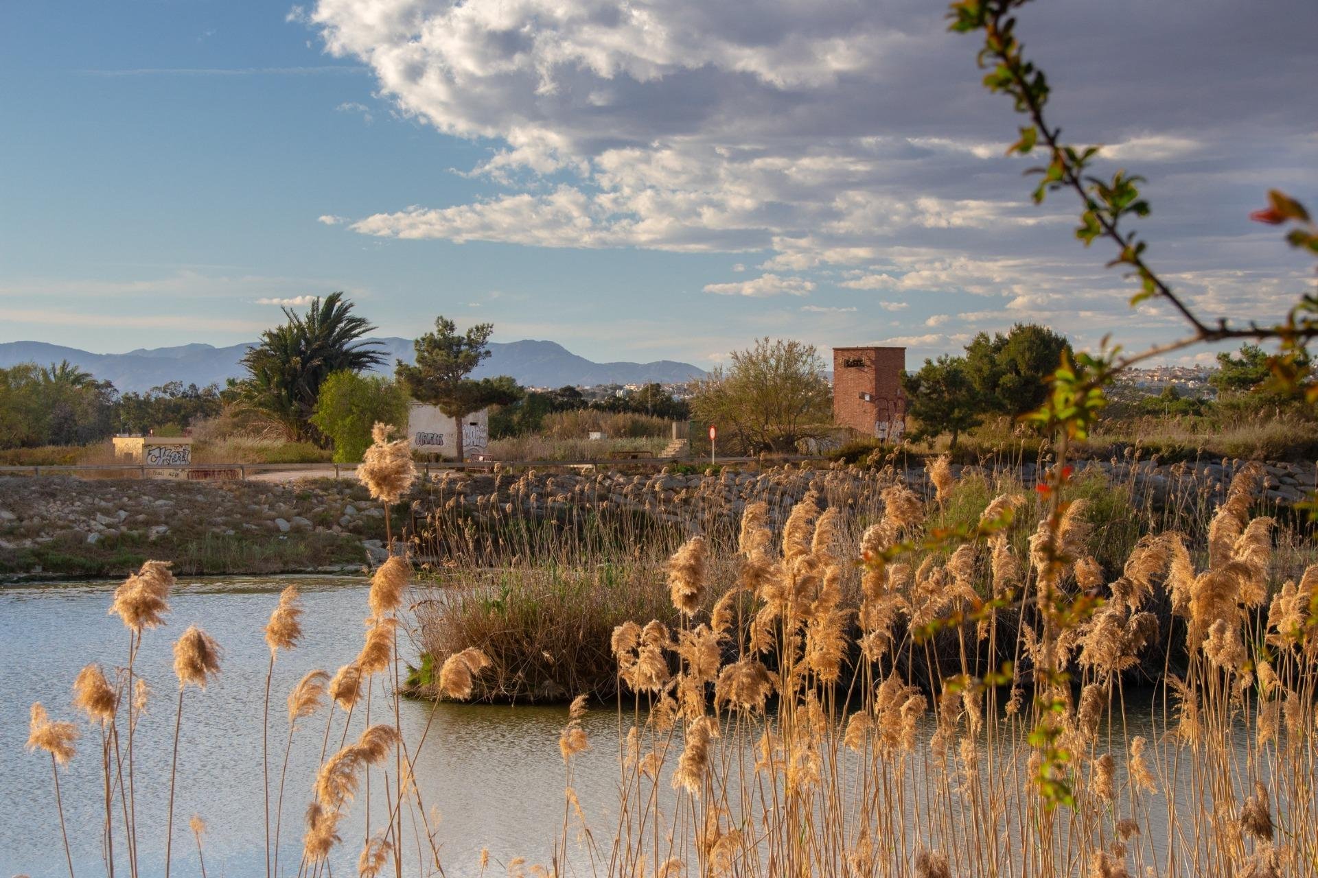 Nowa konstrukcja - Bungalow - Guardamar del Segura - Guardamar Del Segura