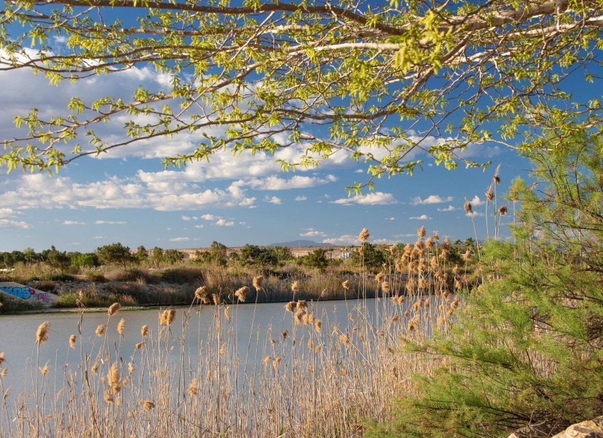 Nowa konstrukcja - Bungalow - Guardamar del Segura - Guardamar Del Segura