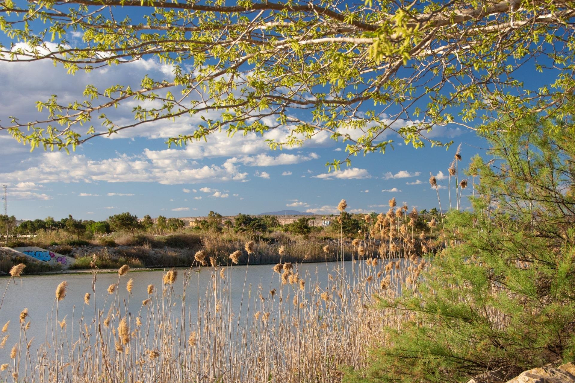 Nowa konstrukcja - Bungalow - Guardamar del Segura - Guardamar Del Segura