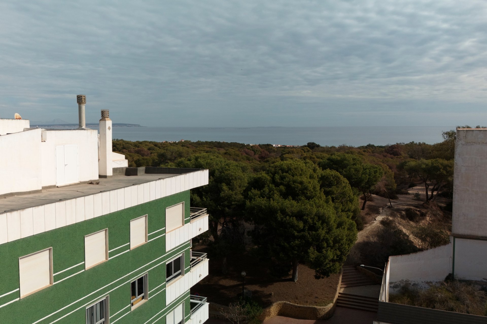 Nowa konstrukcja - Bungalow - Guardamar del Segura - Guardamar Del Segura