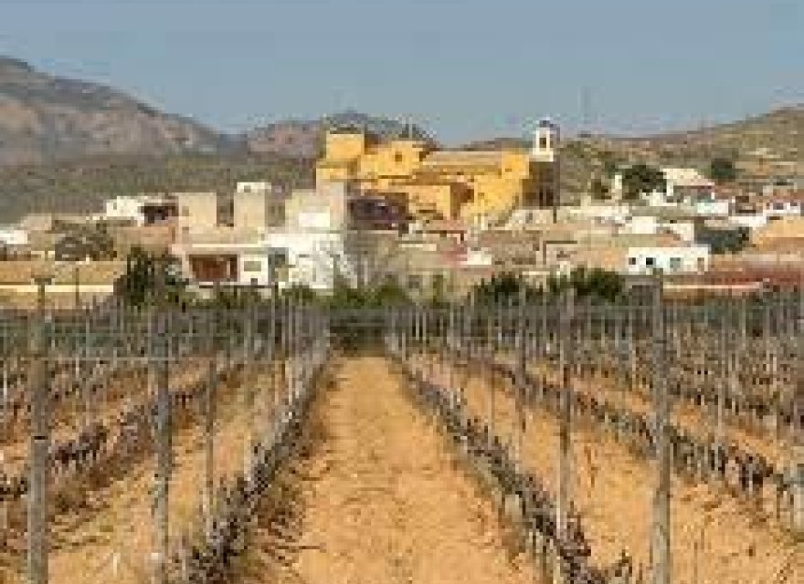 Nowa konstrukcja - Bungalow - Hondón de las Nieves - El Salero