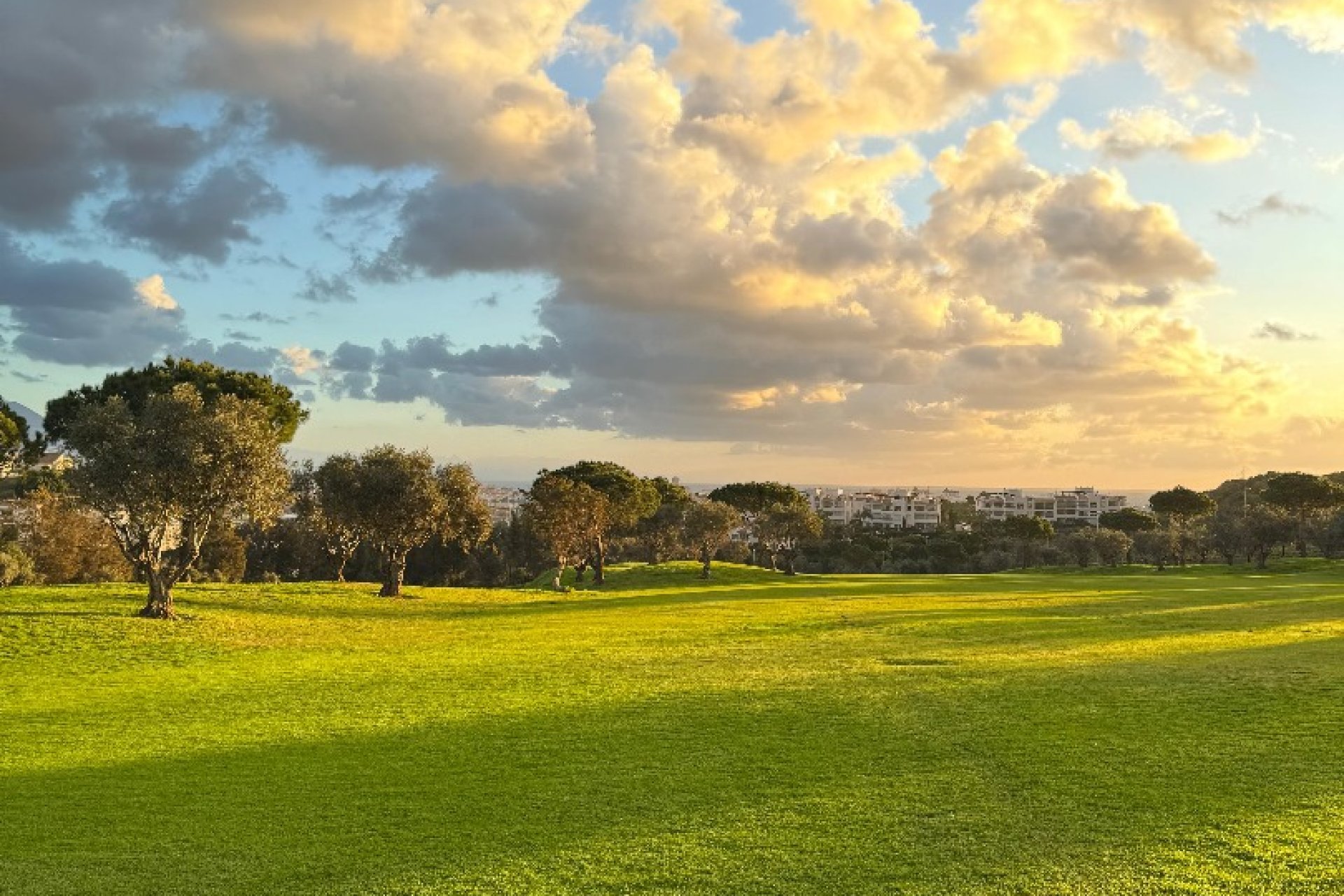 Nowa konstrukcja - Bungalow - Mijas - Las Lagunas de Mijas