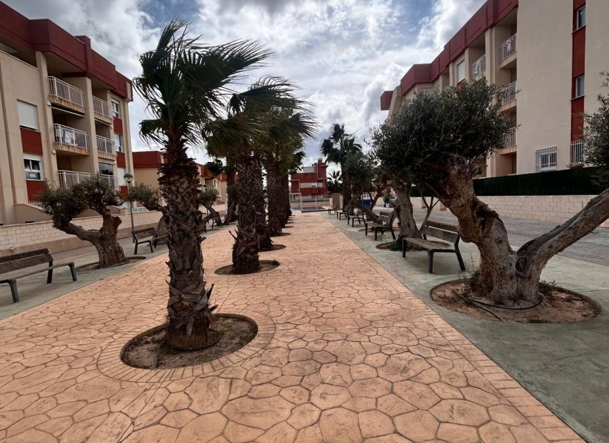 Nowa konstrukcja - Bungalow - Orihuela Costa