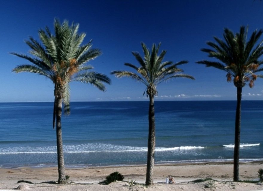 Nowa konstrukcja - Bungalow - Pilar de la Horadada - Parque Ramon eugenio Escudero