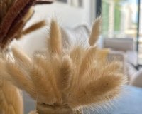 Nowa konstrukcja - Bungalow - San Fulgencio - Pueblo