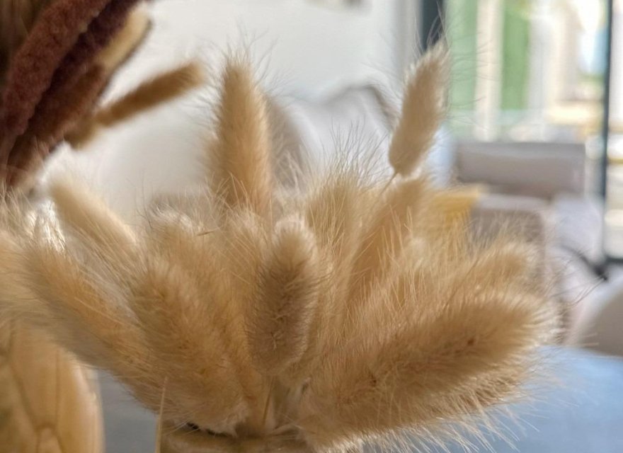 Nowa konstrukcja - Bungalow - San Fulgencio - Pueblo