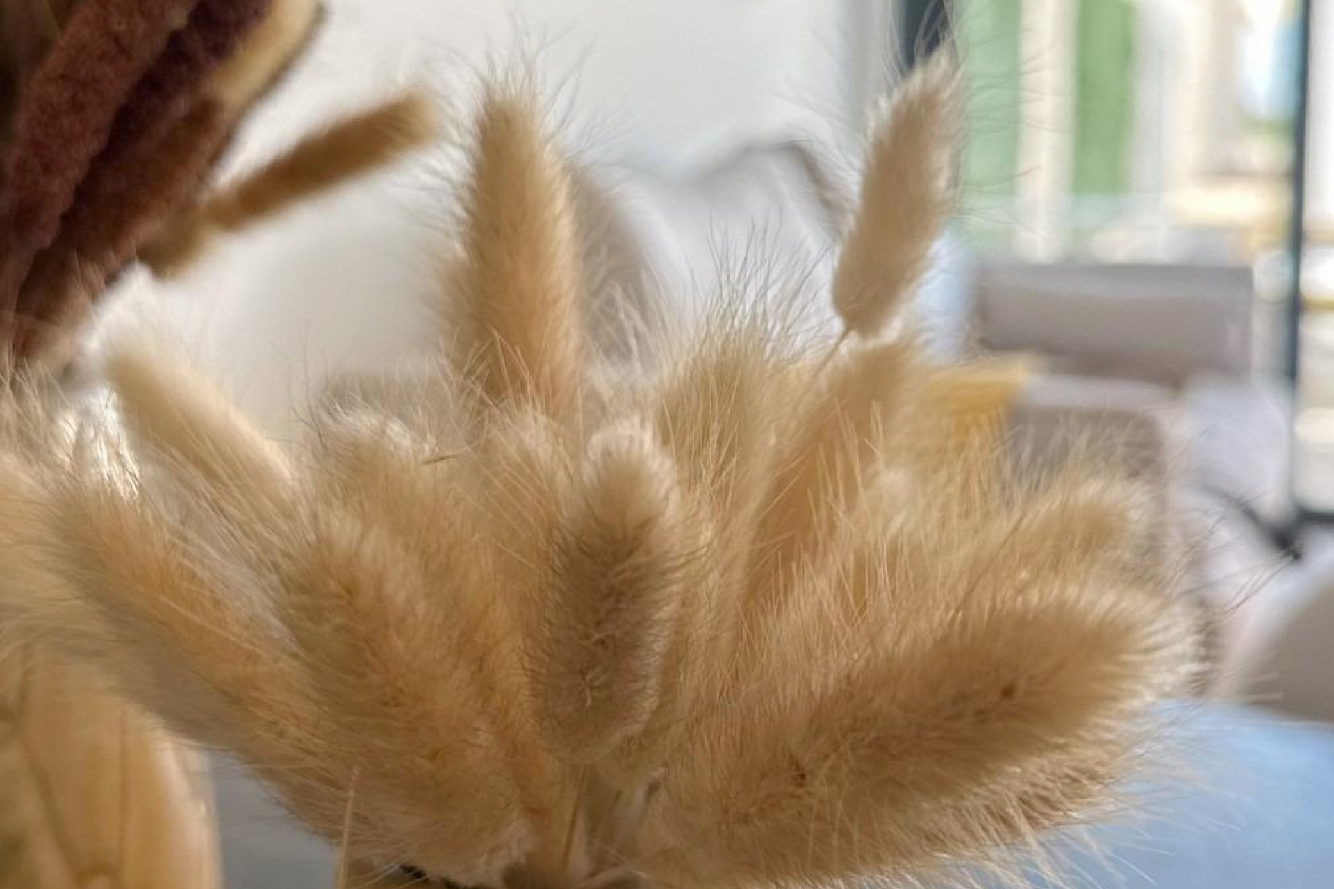 Nowa konstrukcja - Bungalow - San Fulgencio - Pueblo