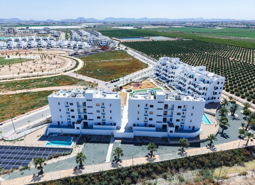 Nowa konstrukcja - Bungalow - Torre Pacheco - Torre-Pacheco