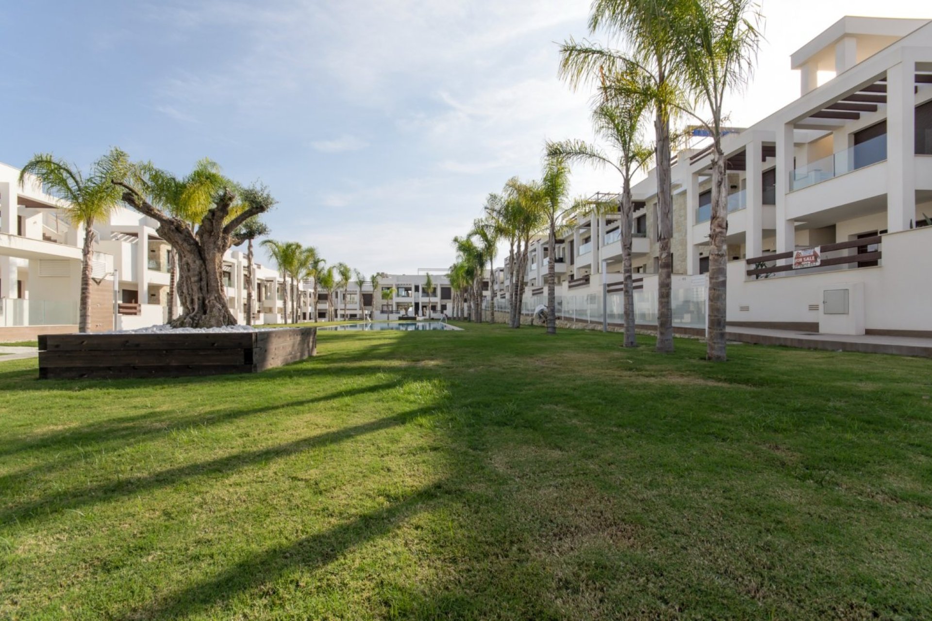 Nowa konstrukcja - Bungalow - Torrevieja - Los Balcones