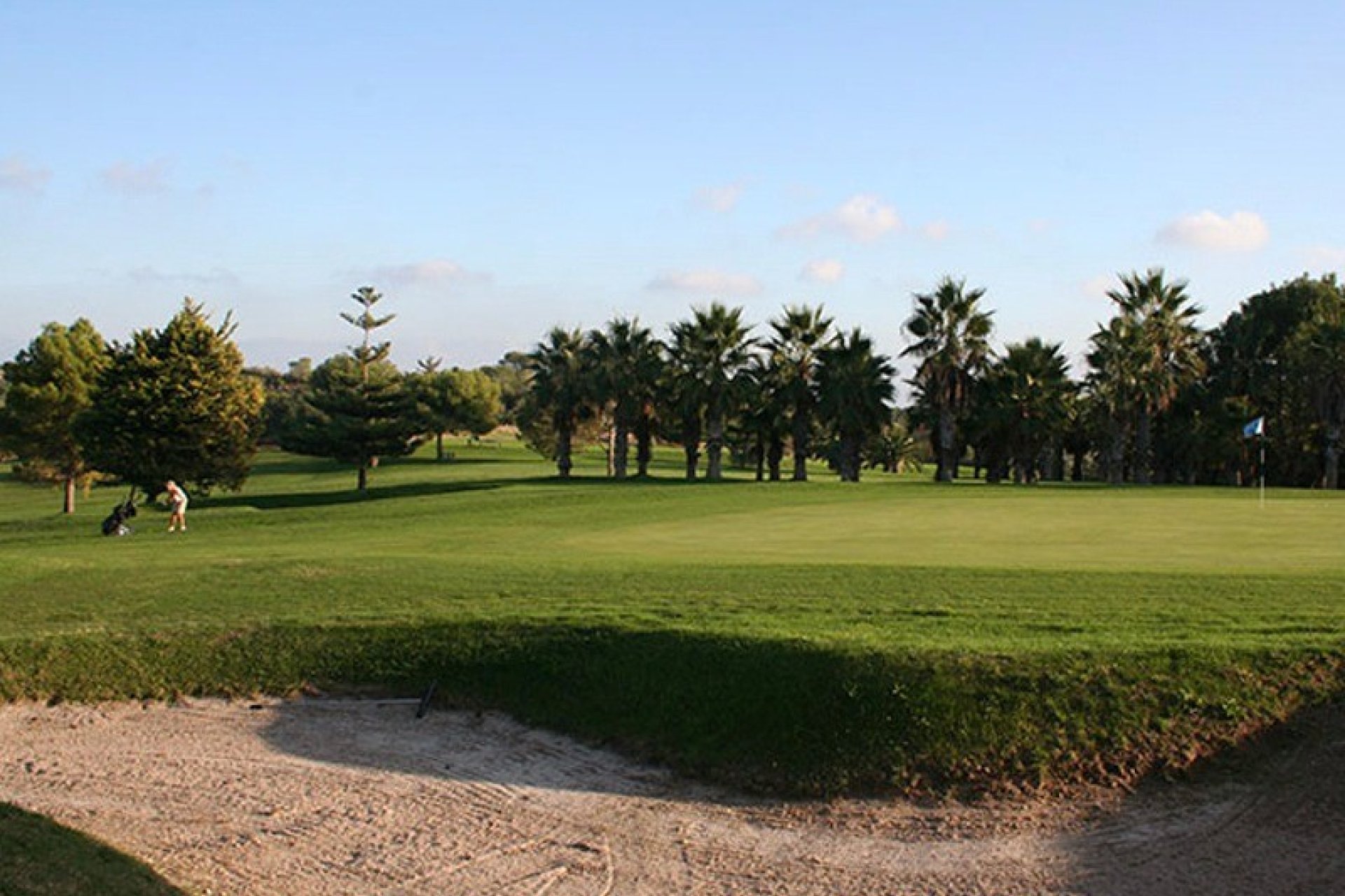 Nowa konstrukcja - Bungalow - Torrevieja - Los Balcones