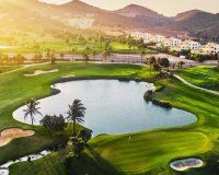 Nowa konstrukcja - Dupleks - La Manga