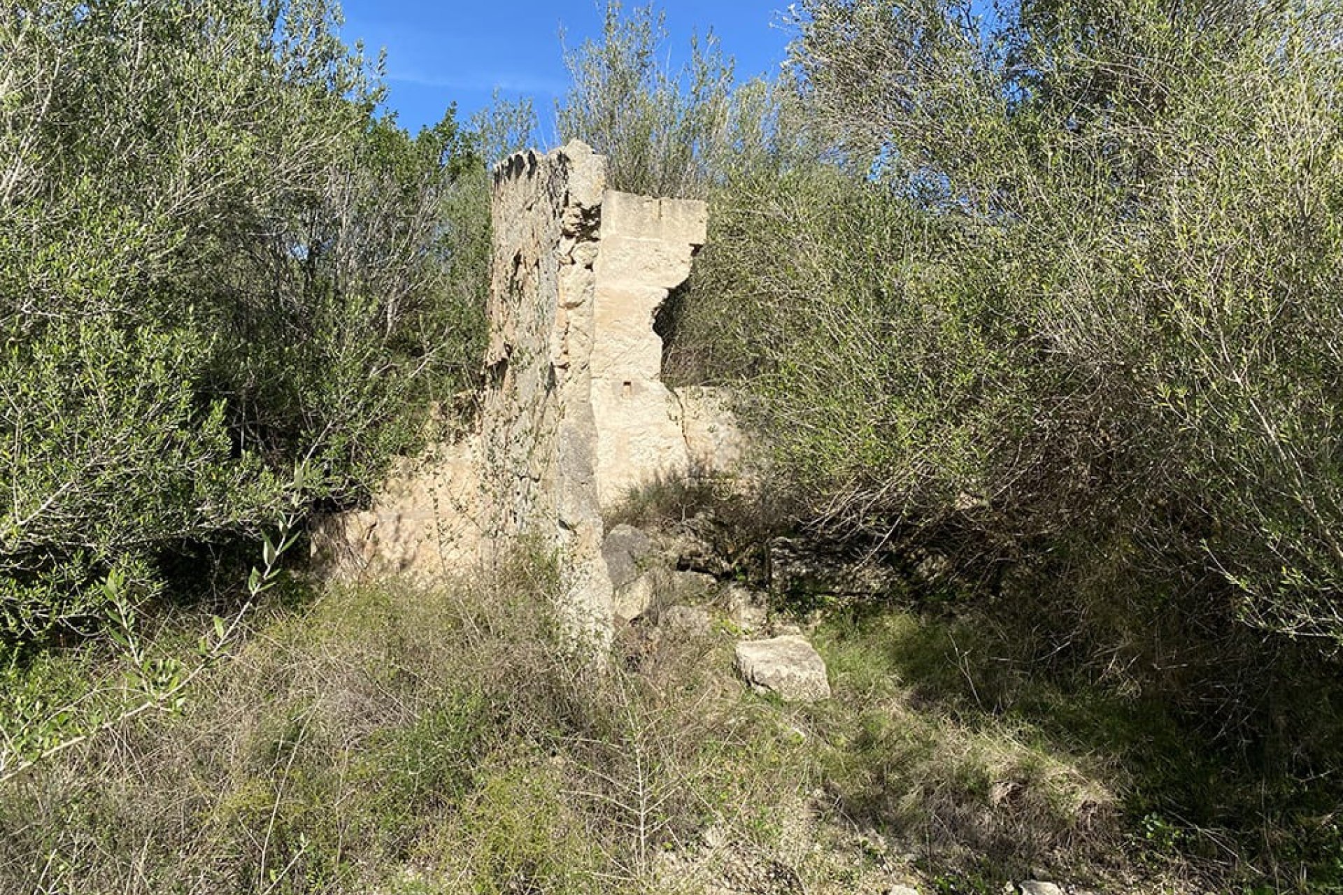 Nowa konstrukcja - Działka - Muro