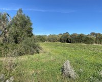 Nowa konstrukcja - Działka - Muro