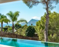 Nowa konstrukcja - Willa - Altea