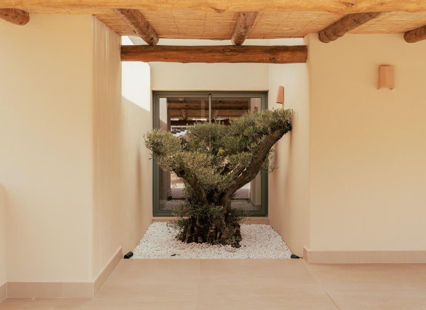 Nowa konstrukcja - Willa - Jávea - Valle del Sol