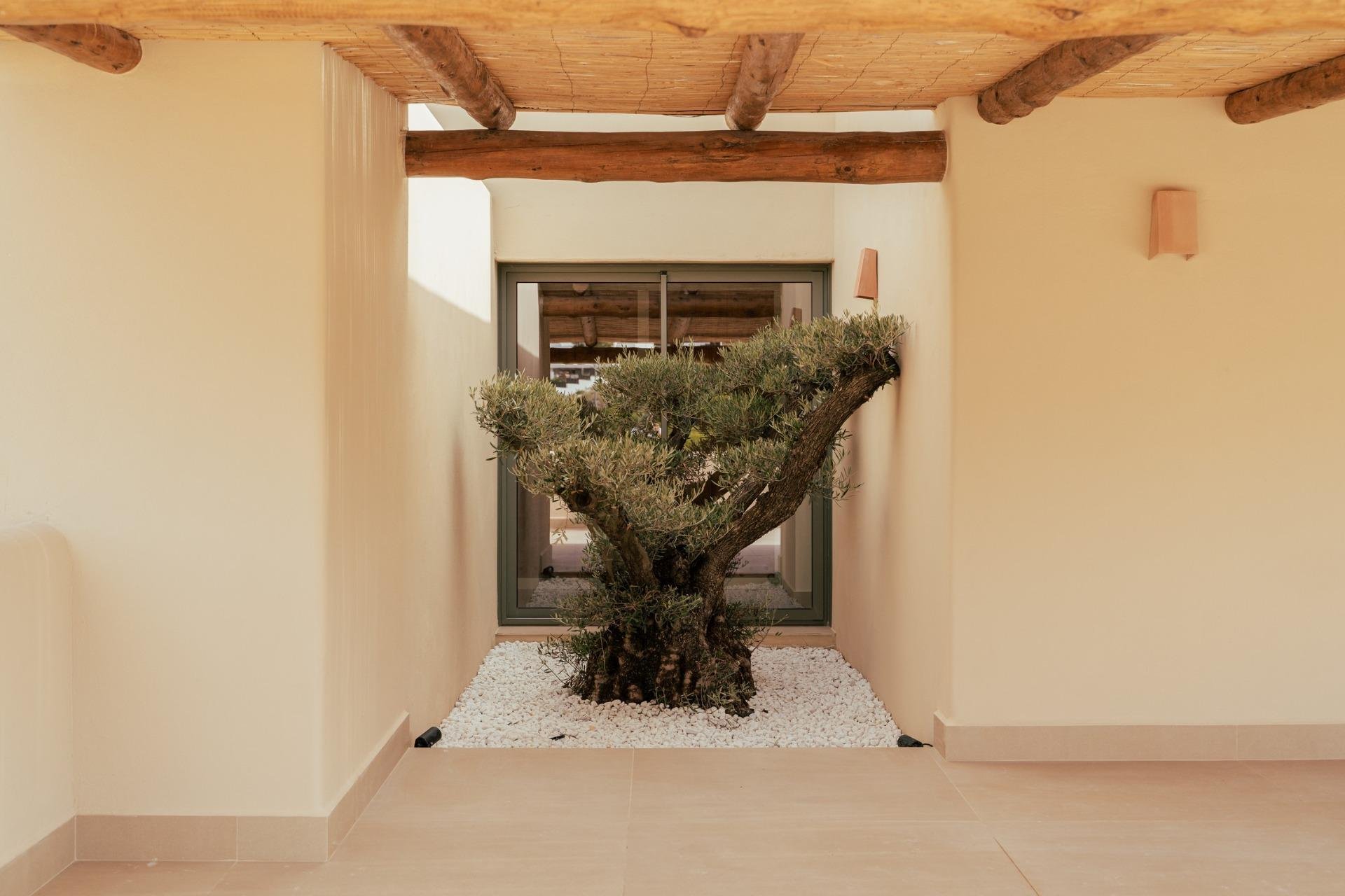 Nowa konstrukcja - Willa - Jávea - Valle del Sol