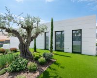 Nowa konstrukcja - Willa - Molina De Segura - Molina de Segura