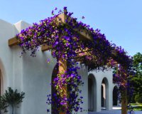 Nowa konstrukcja - Willa - Moraira