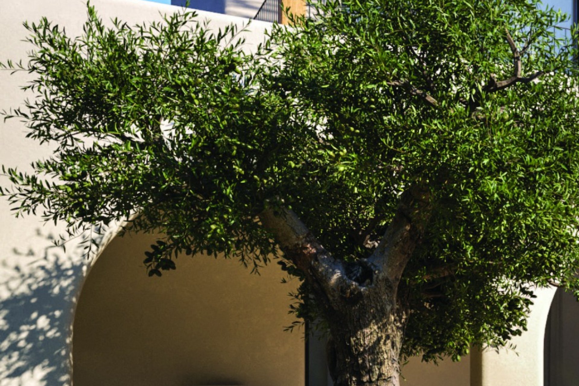 Nowa konstrukcja - Willa - Moraira