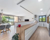 Nowa konstrukcja - Willa - Palma de Mallorca - Marratxi