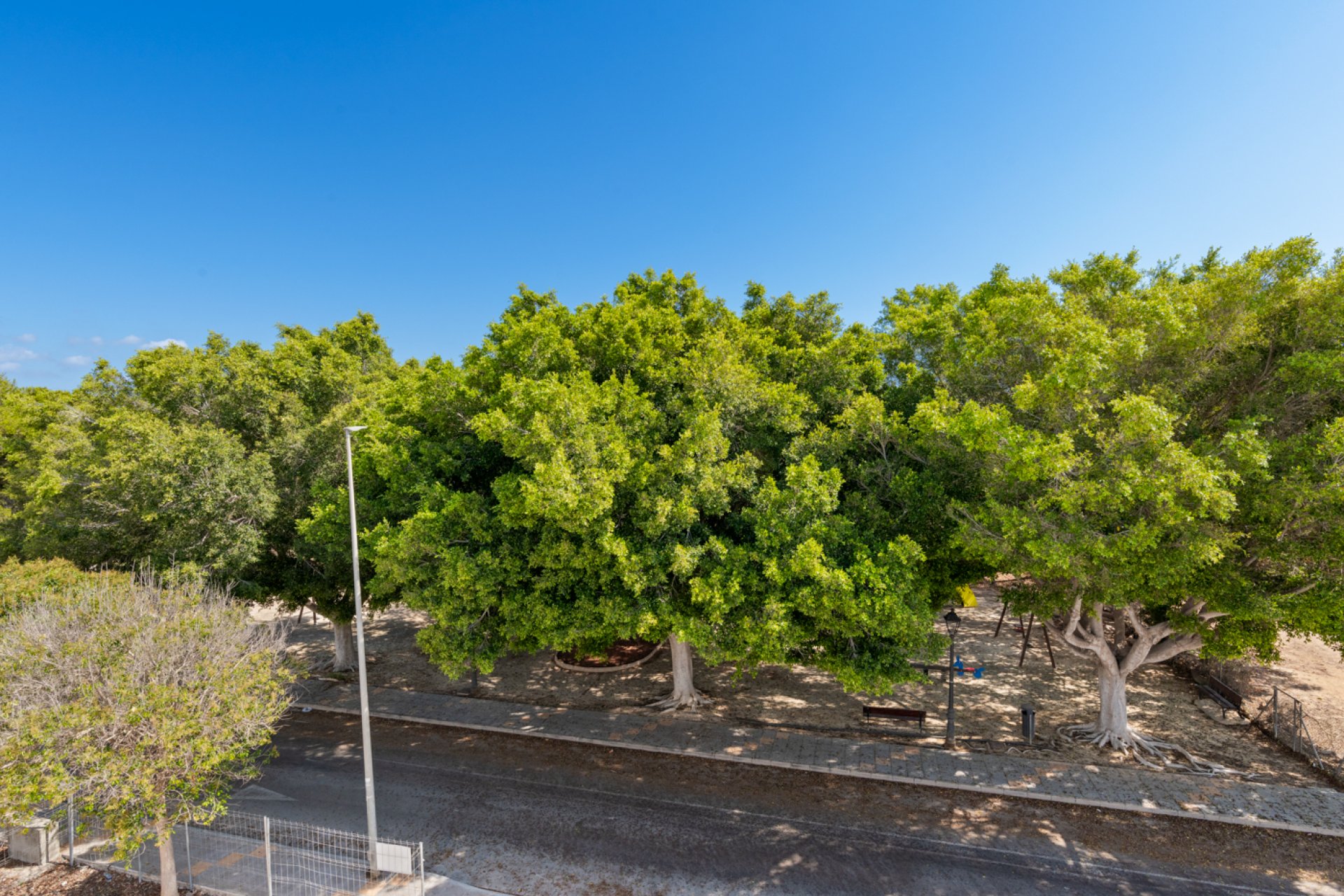 Nowa konstrukcja - Willa - Pilar de la Horadada