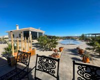 Nowa konstrukcja - Willa - Pinoso - Camino Del Prado