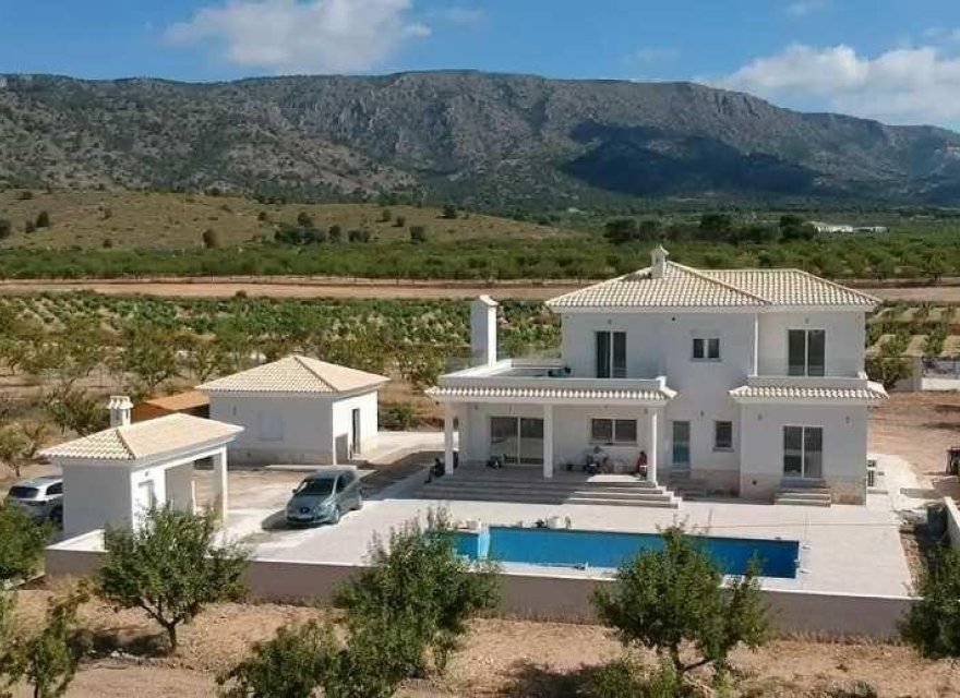 Nowa konstrukcja - Willa - Pinoso - Camino Del Prado