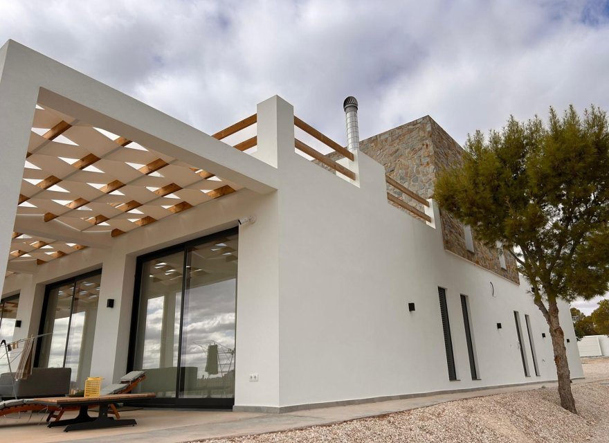 Nowa konstrukcja - Willa - Pinoso - Casas Pastor