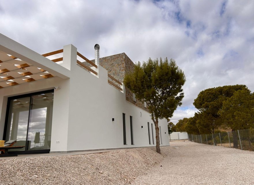 Nowa konstrukcja - Willa - Pinoso - Casas Pastor