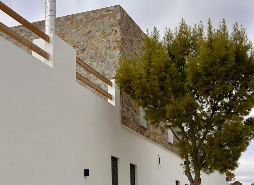 Nowa konstrukcja - Willa - Pinoso - Casas Pastor