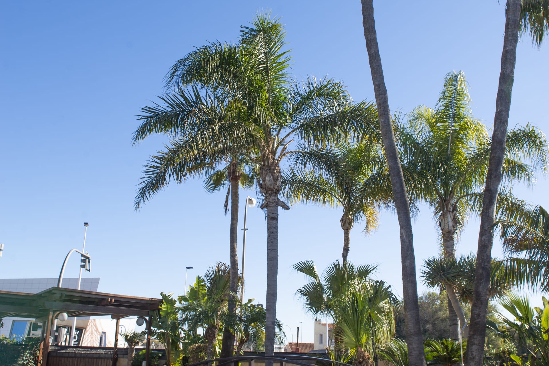 Nowa konstrukcja - Willa - San Pedro del Pinatar - San Pedro Del Pinatar