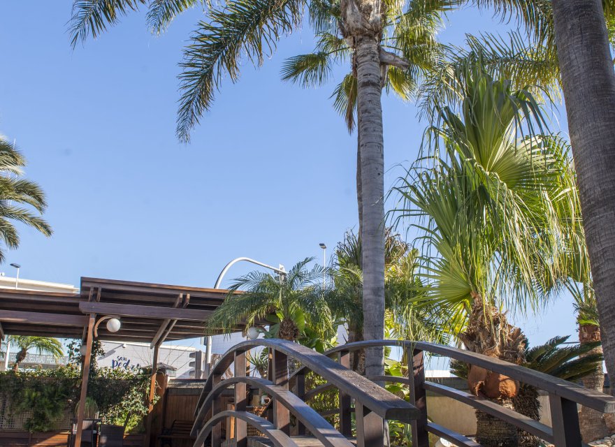 Nowa konstrukcja - Willa - San Pedro del Pinatar - San Pedro Del Pinatar