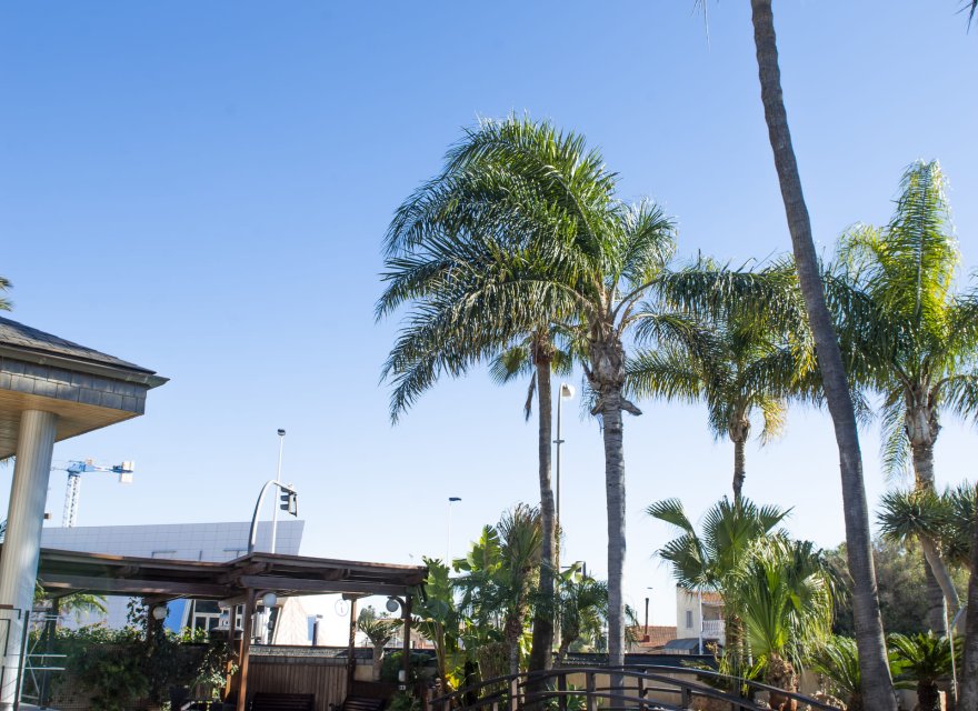 Nowa konstrukcja - Willa - San Pedro del Pinatar - San Pedro Del Pinatar