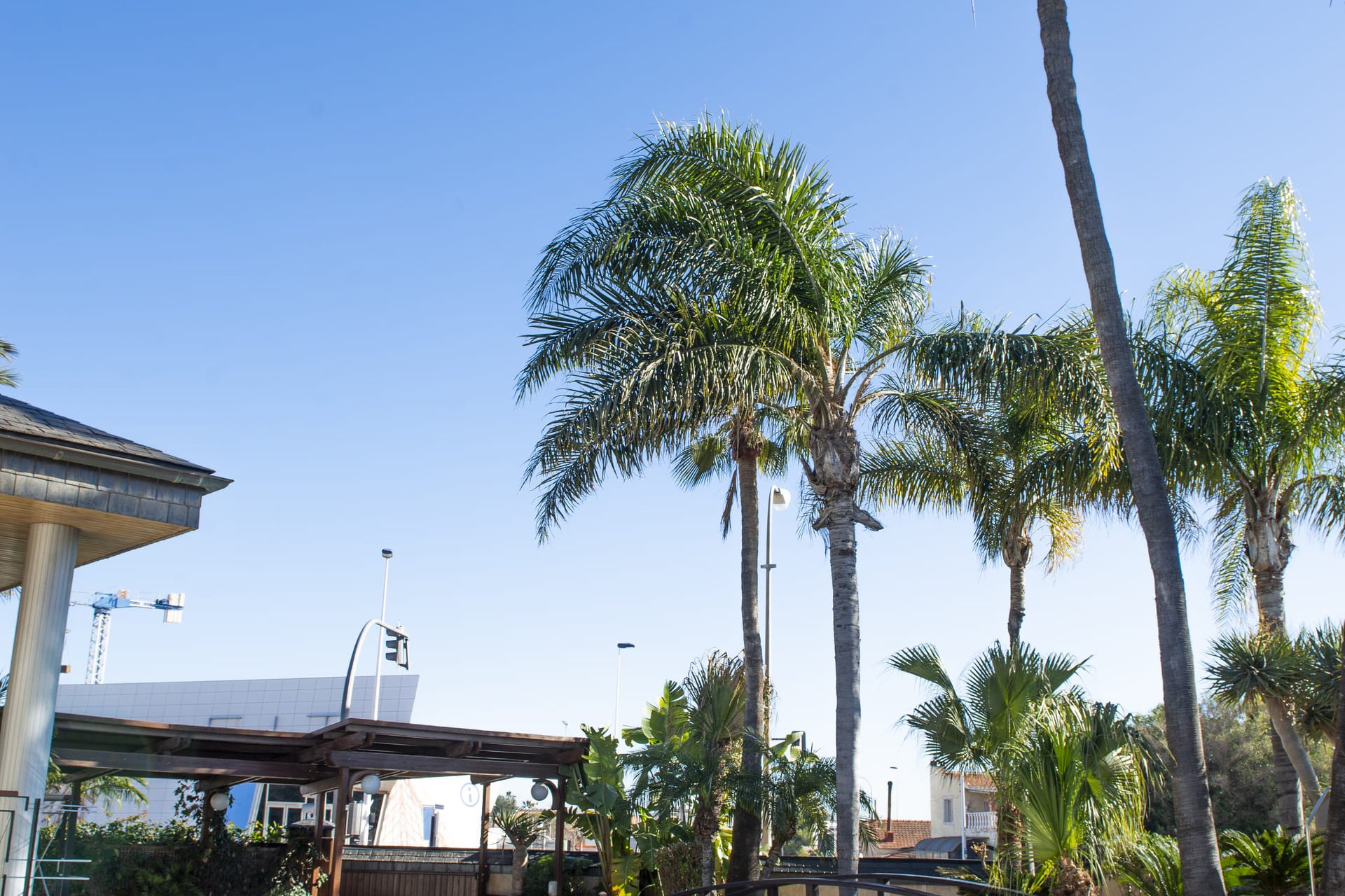 Nowa konstrukcja - Willa - San Pedro del Pinatar - San Pedro Del Pinatar