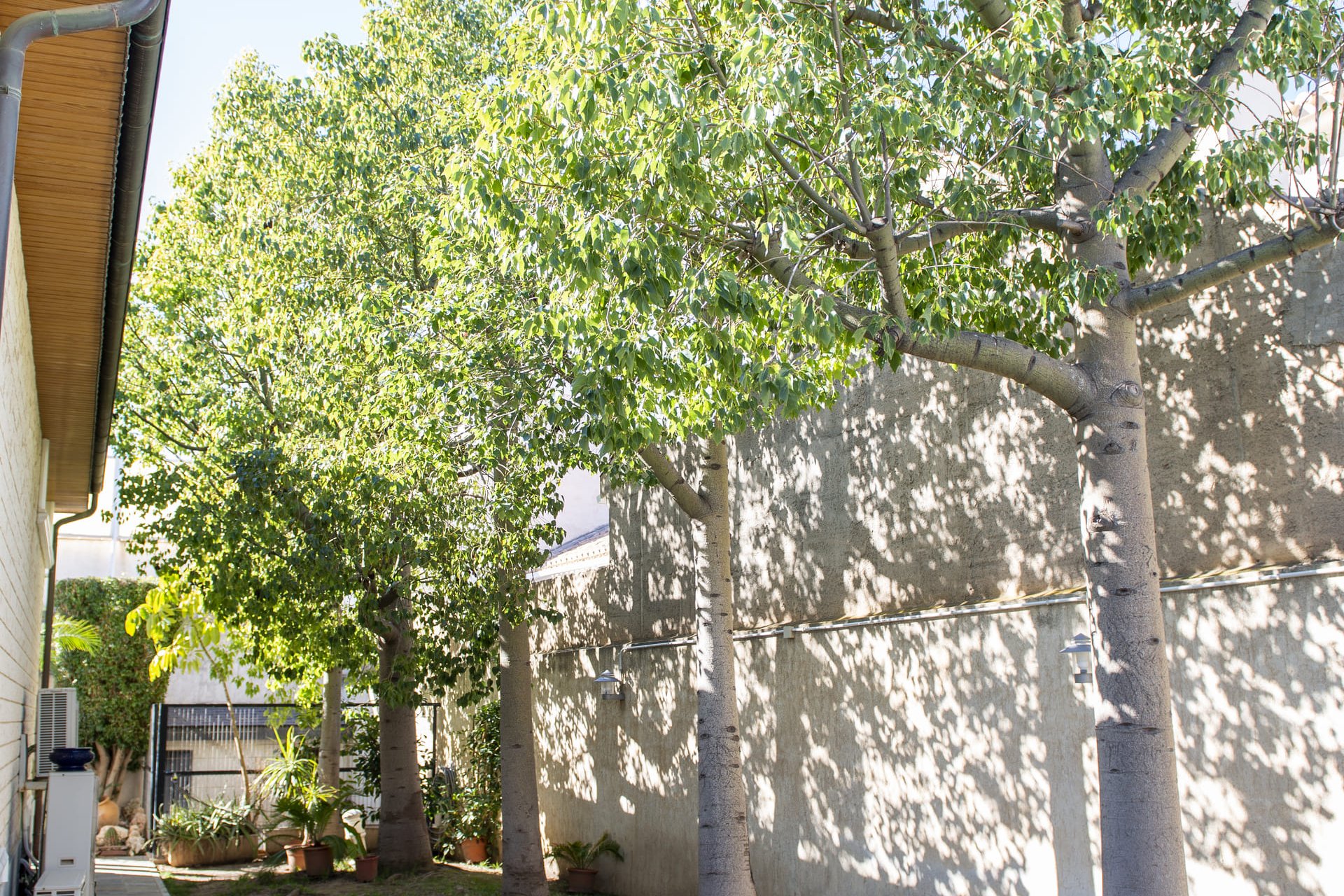 Nowa konstrukcja - Willa - San Pedro del Pinatar - San Pedro Del Pinatar