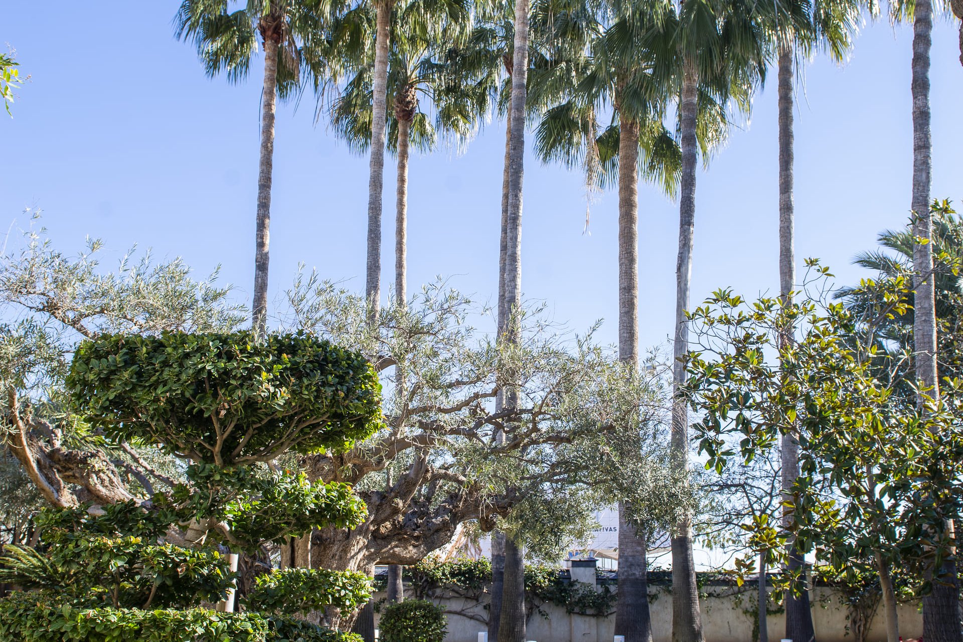 Nowa konstrukcja - Willa - San Pedro del Pinatar - San Pedro Del Pinatar