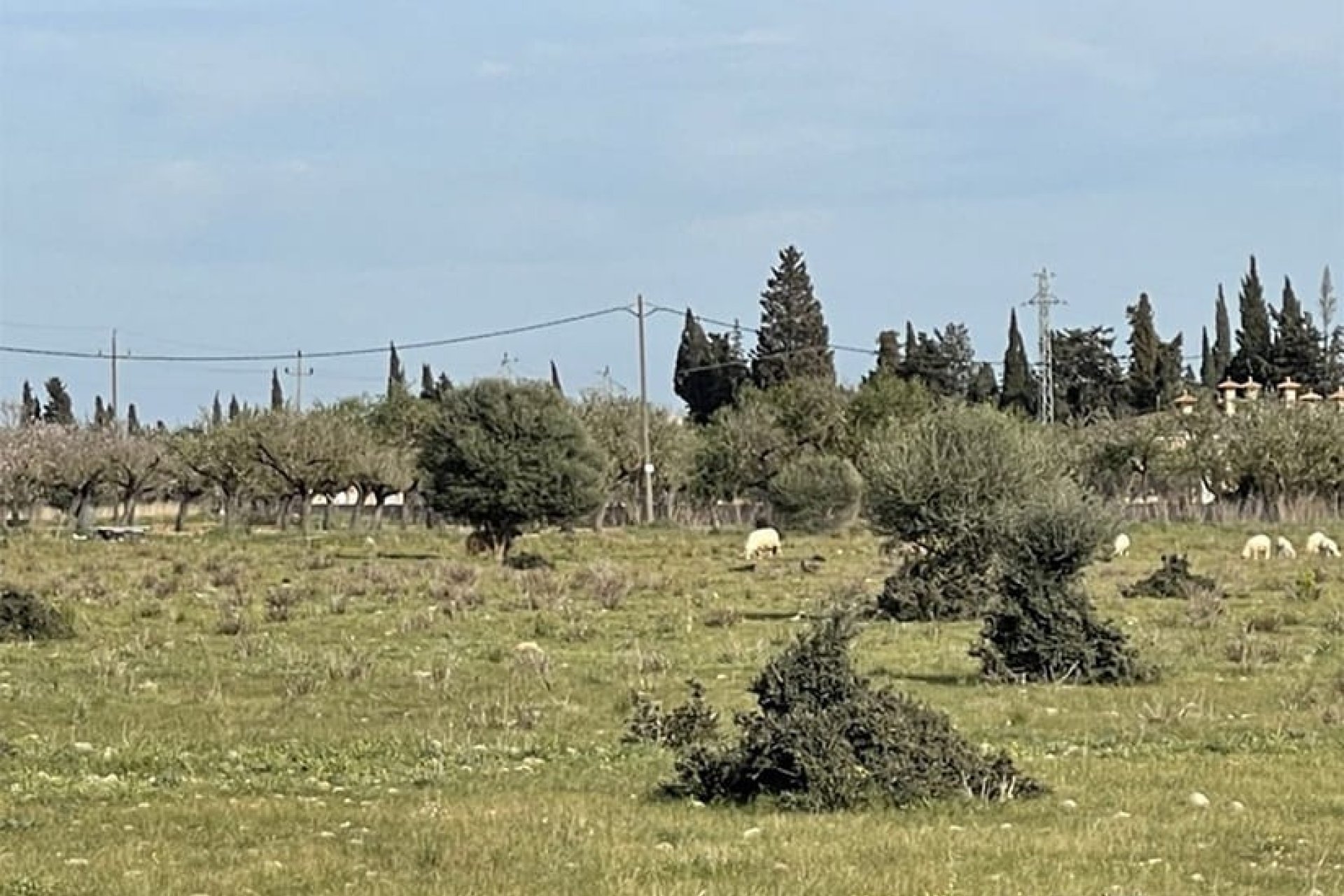 Nowa konstrukcja - Willa - Santa María del Camí