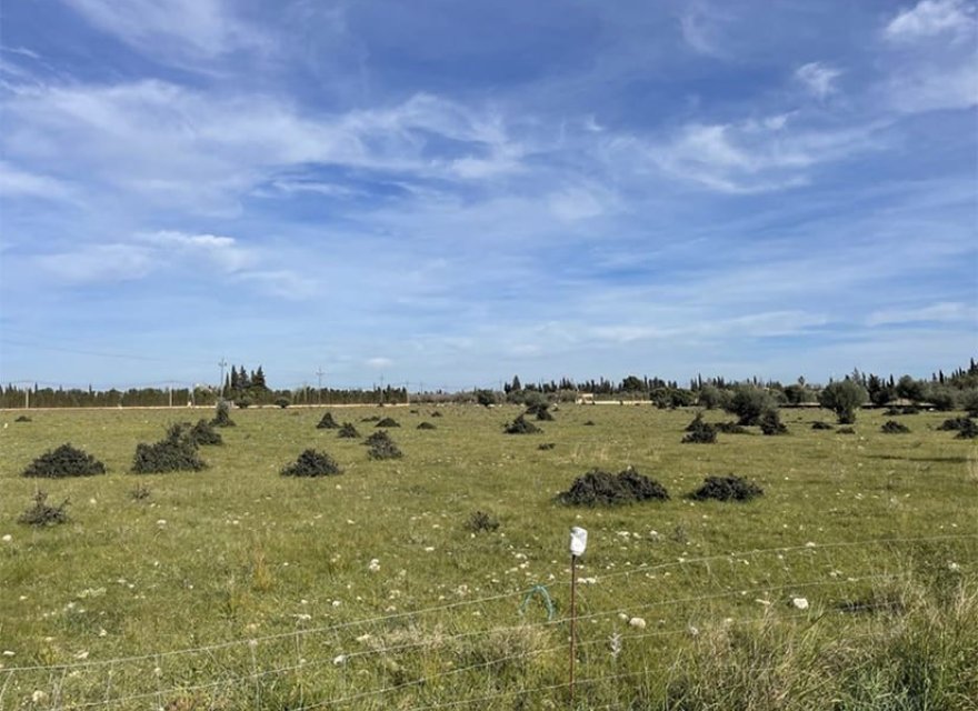 Nowa konstrukcja - Willa - Santa María del Camí