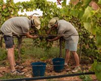 Nowa konstrukcja - Willa - Sencelles