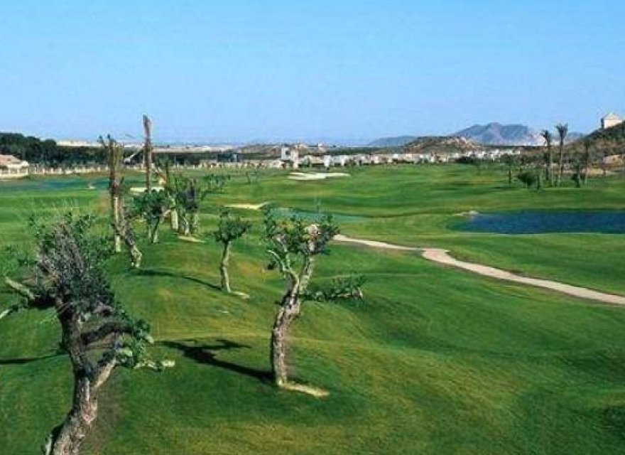 Nowa konstrukcja - Willa - Sucina - Peraleja Golf