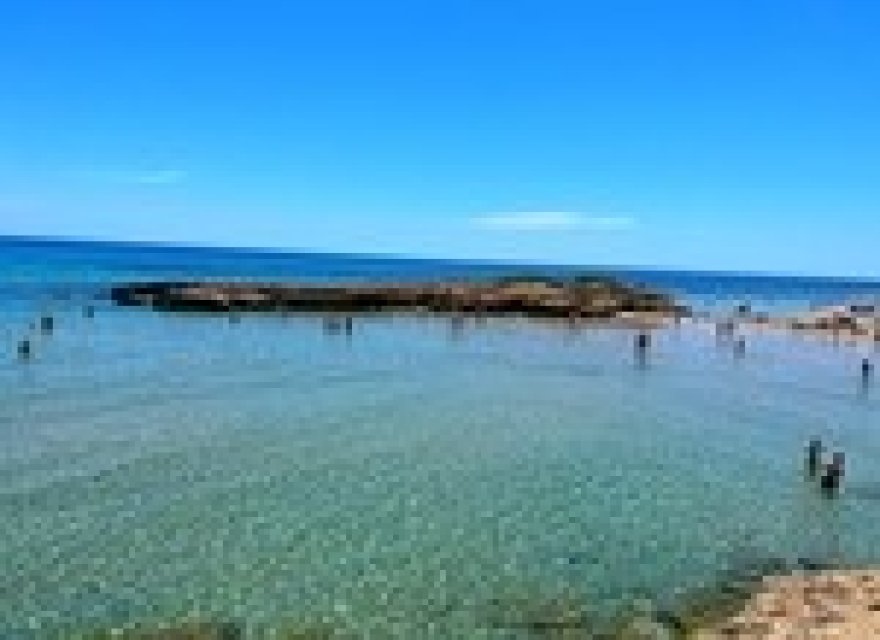 Nowa konstrukcja - Willa - Torrevieja - Los Altos