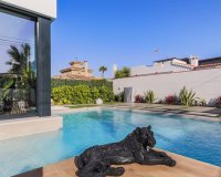 Nowa konstrukcja - Willa - Torrevieja