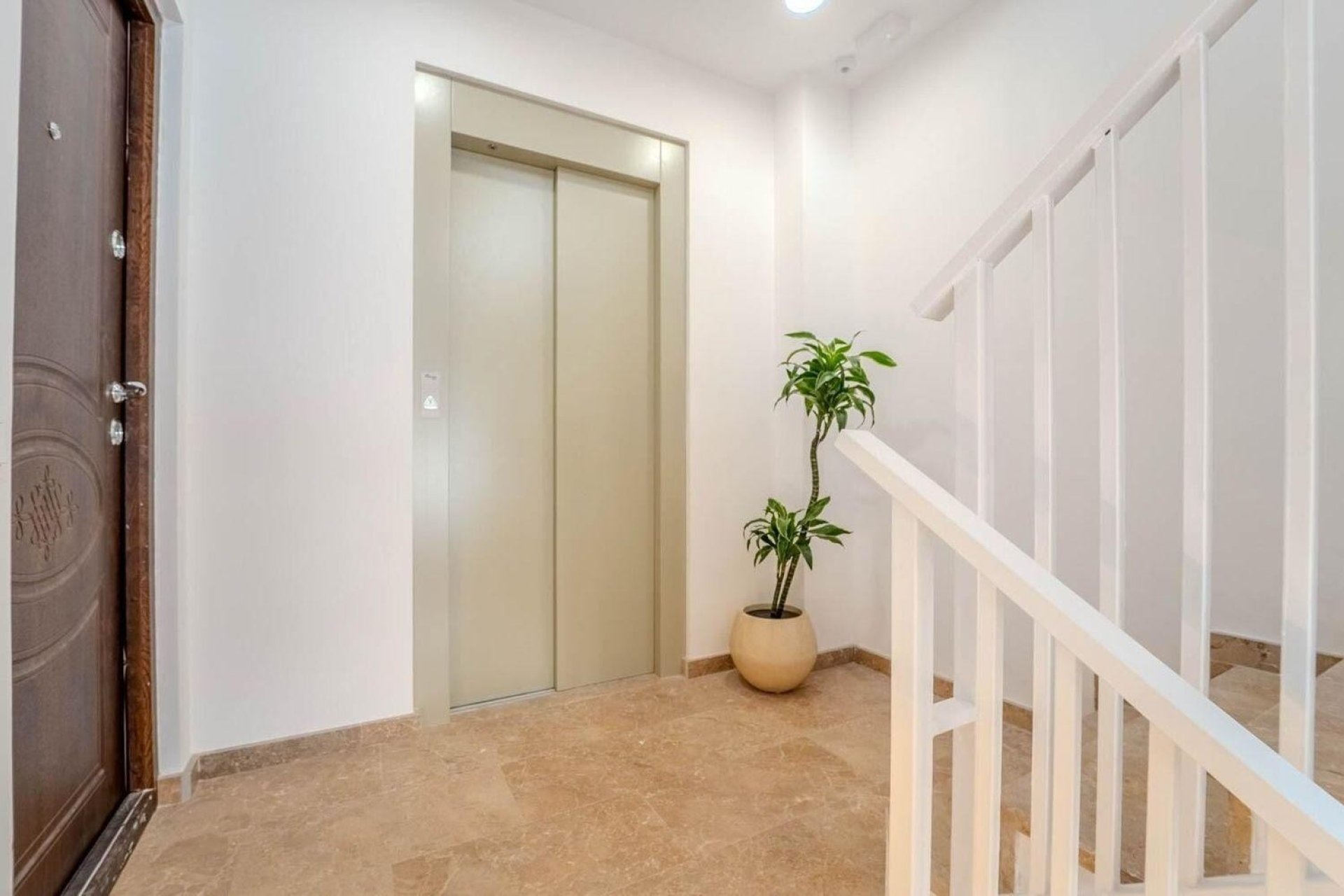 Obra nueva - Apartamento - Alicante - Carolinas Bajas