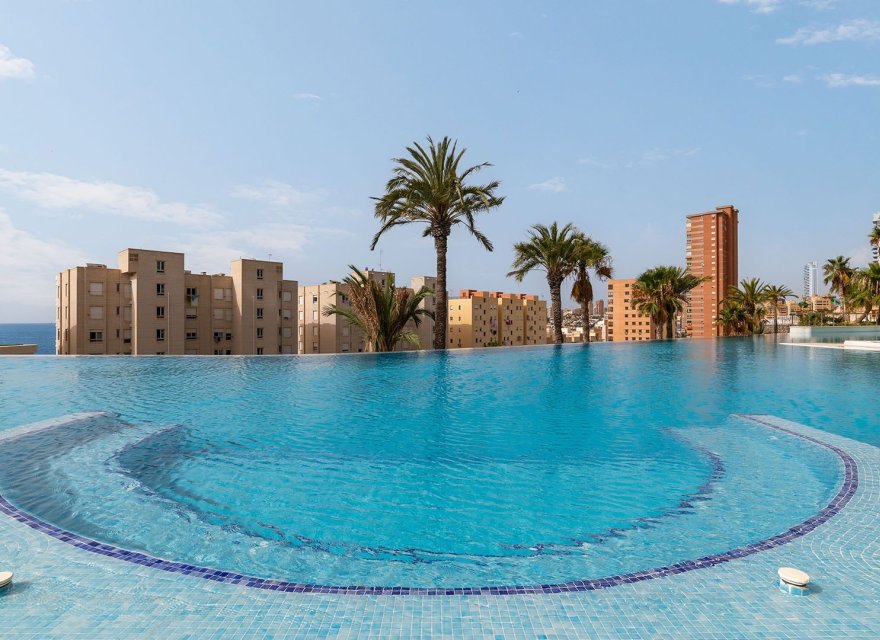 Obra nueva - Apartamento - Benidorm