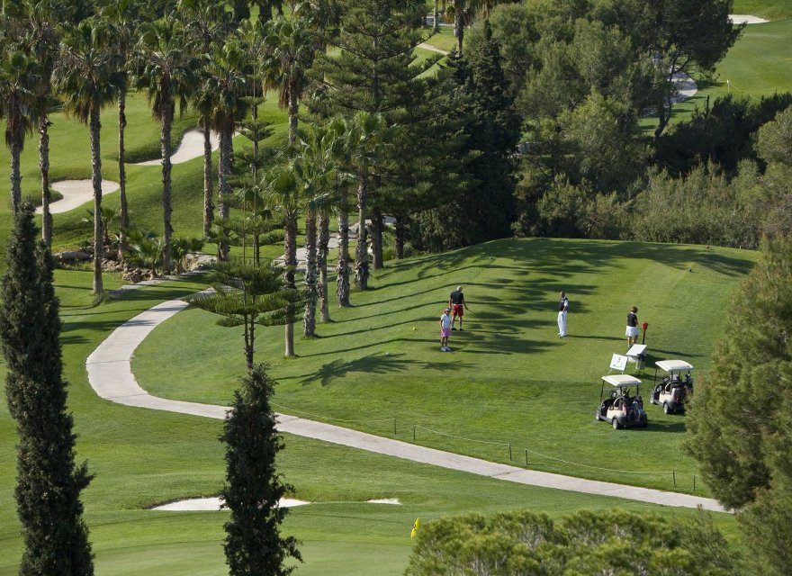 Obra nueva - Apartamento - Campoamor