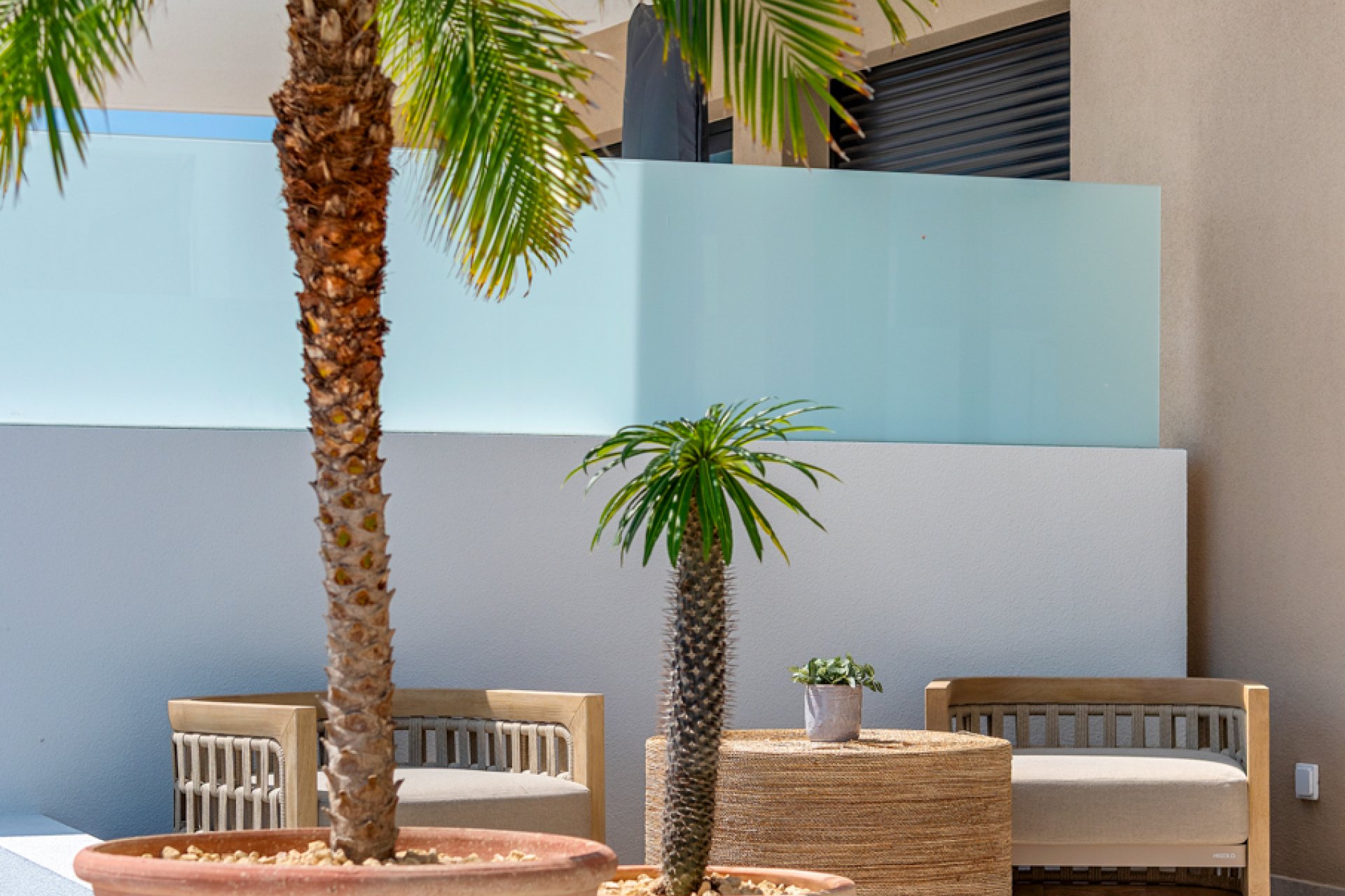 Obra nueva - Apartamento - Dolores